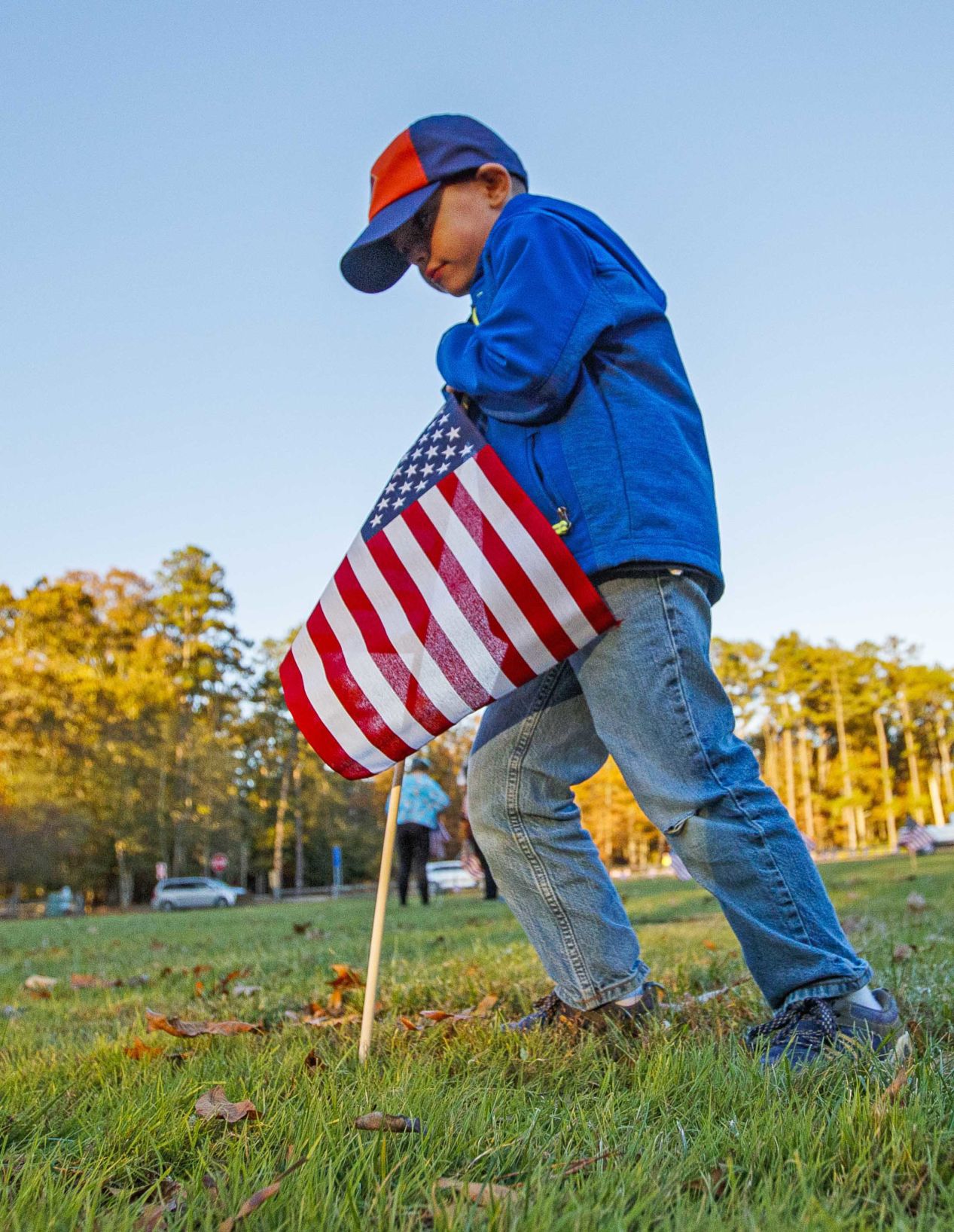 Scouts planted American Flags ahead of Veteran Day